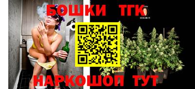 Альфа ПВП Моздок