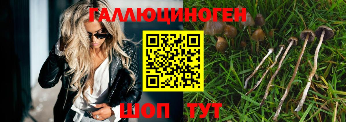 Псилоцибиновые грибы мухоморы Туймазы